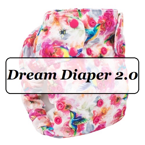 dream_1