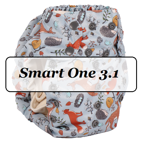 smart31